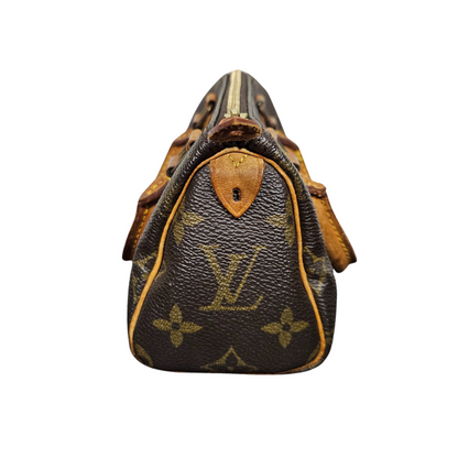 nano speedy louis vuitton